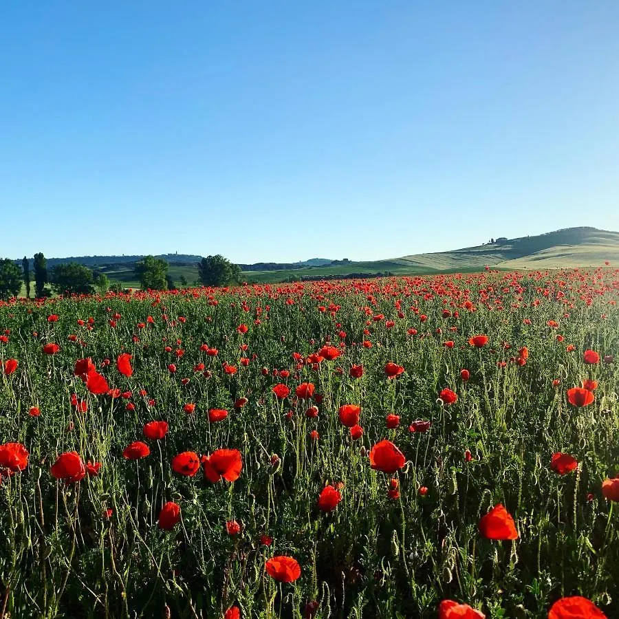 Agriturismo Poggio Tobruk Pienza